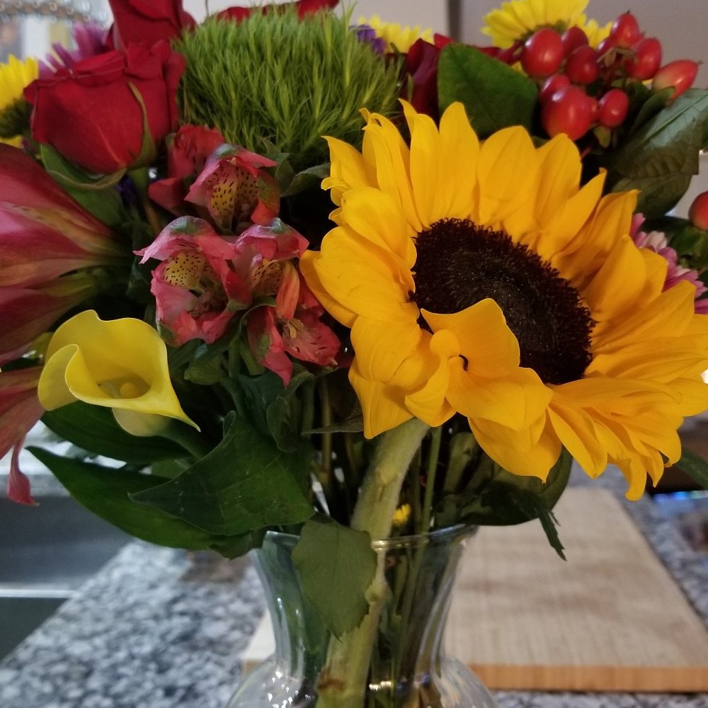 Meet your Posher, Omega